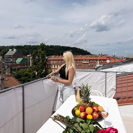 Luxurious Castle Praag